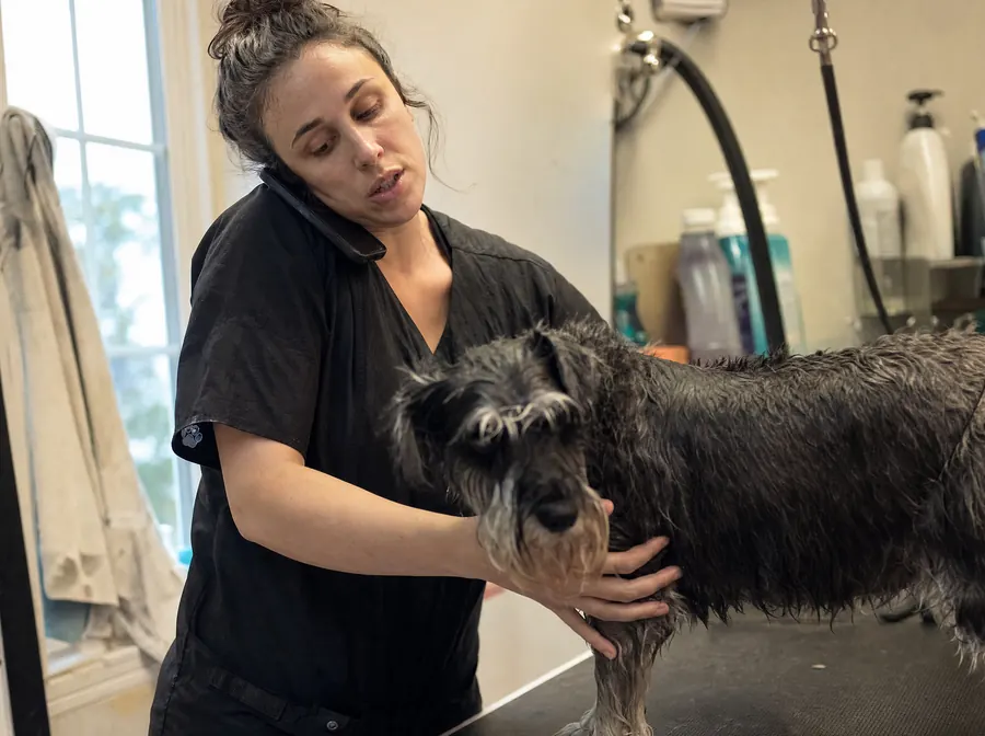 A groomer holding a wet dog steady with both hands while a phone is wedged against her shoulder